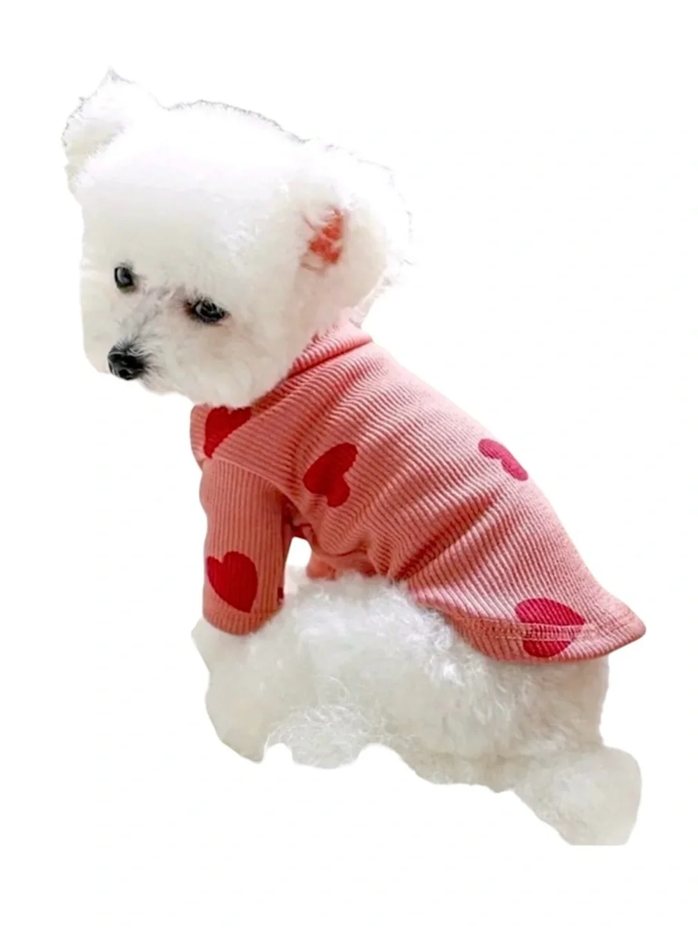 FITTED DOG SWEATSHIRT IN PINK WITH RED HEARTS